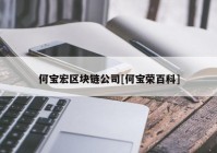 何宝宏区块链公司[何宝荣百科]